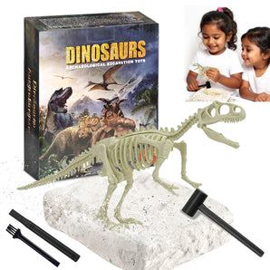 Dinosaur Fossil Digging Kit