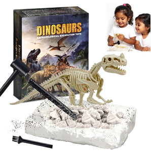 Dinosaur Fossil Digging Kit