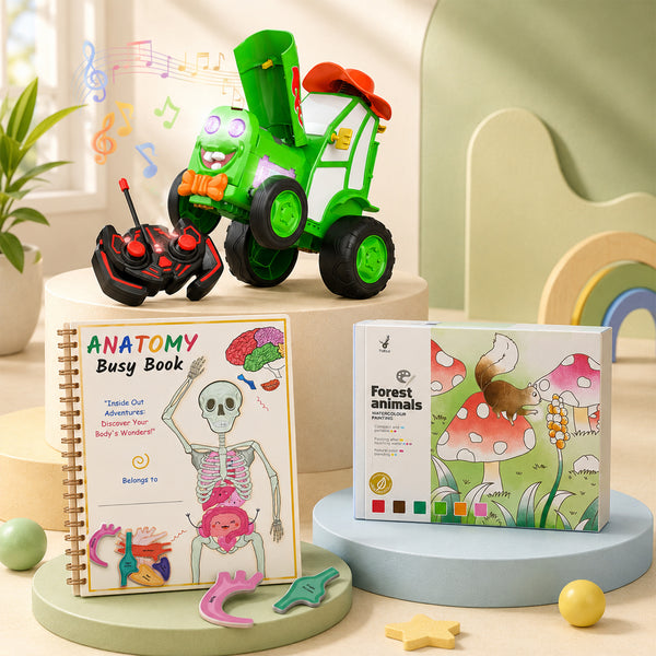 Creative Learning Discovery Hamper ( Pack of 3 )