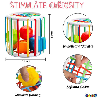Shape Sorter: Fun Learn
