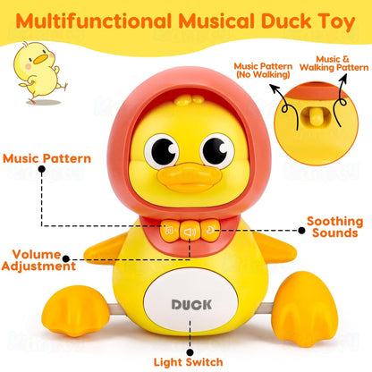 Baby Musical Duck Toy Set