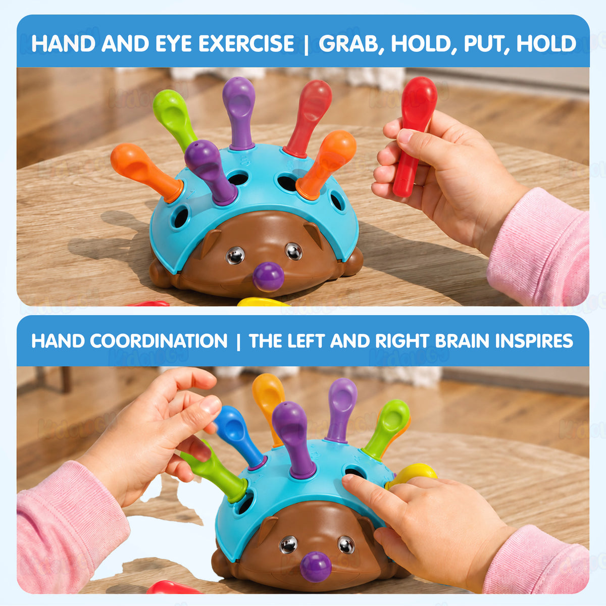 Spike Hedgehog Learning Game