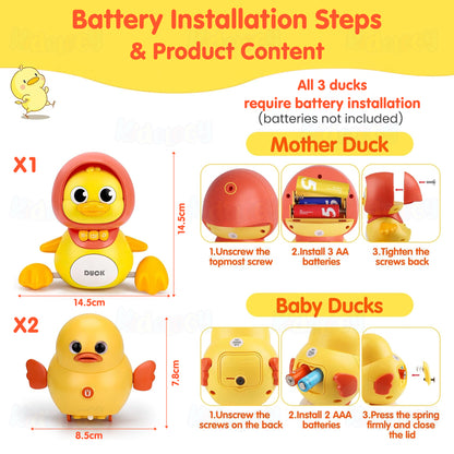 Baby Musical Duck Toy Set