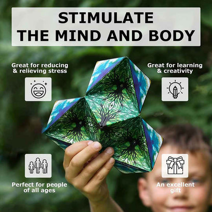 3D Magnetic Shape Shifting Cube
