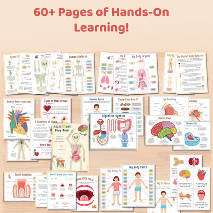 Creative Learning Discovery Hamper ( Pack of 3 )