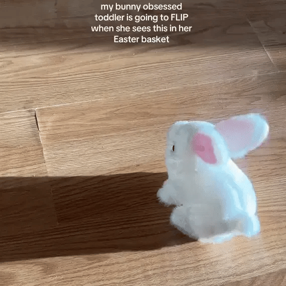 Moving Rabbit Toy