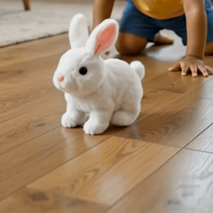 Moving Rabbit Toy