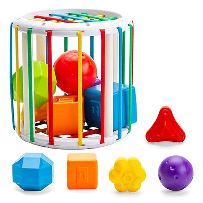 Shape Sorter: Fun Learn