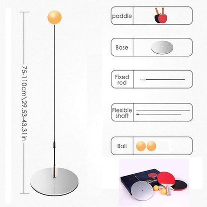 Ping Pong Table Tennis